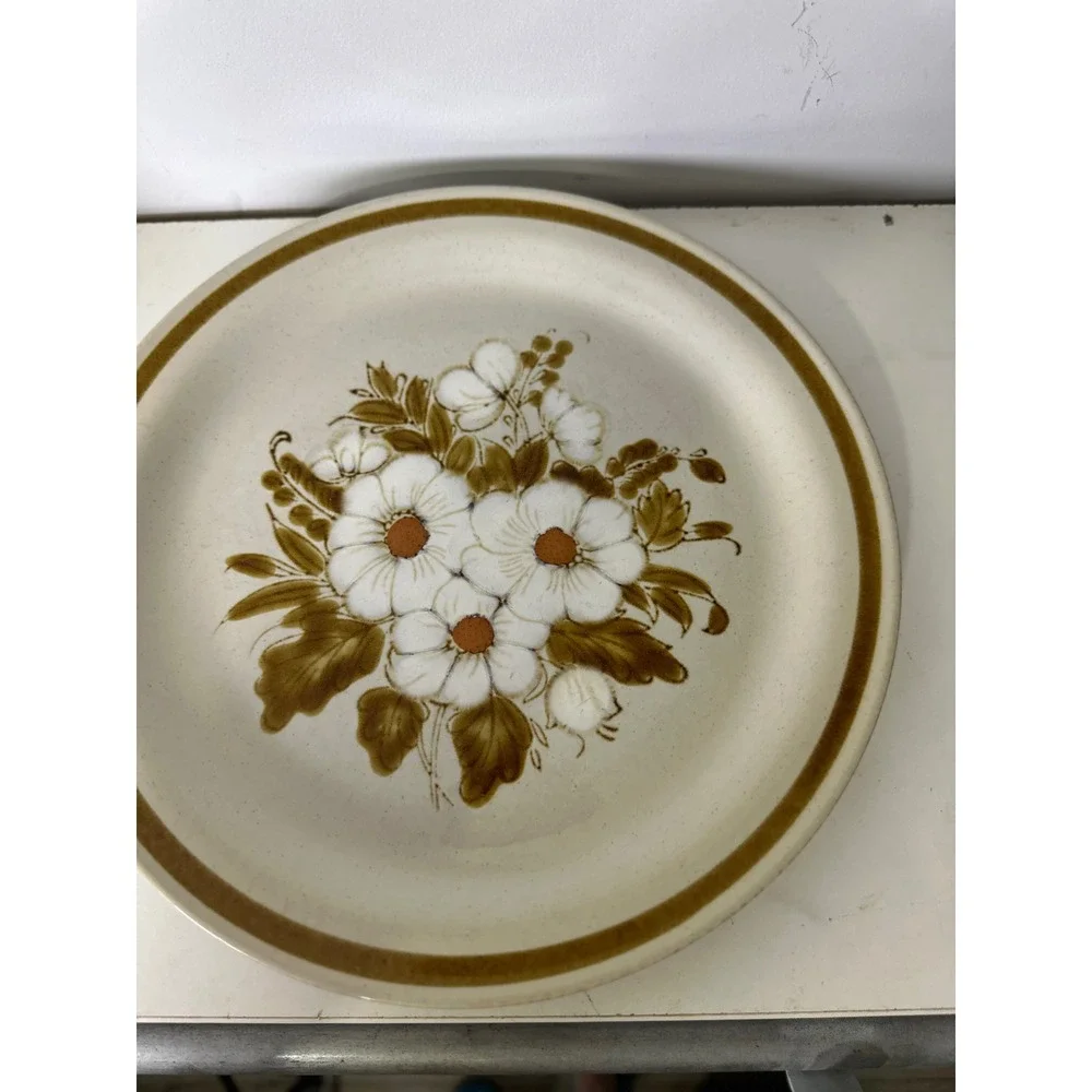 Mountain Wood Collection Dried Flowers Stw 2 Dinner Plate Japan Vintage Brown‎